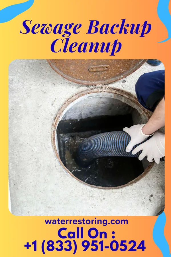 Sewage Backup Cleanup in Garrettsville, OH