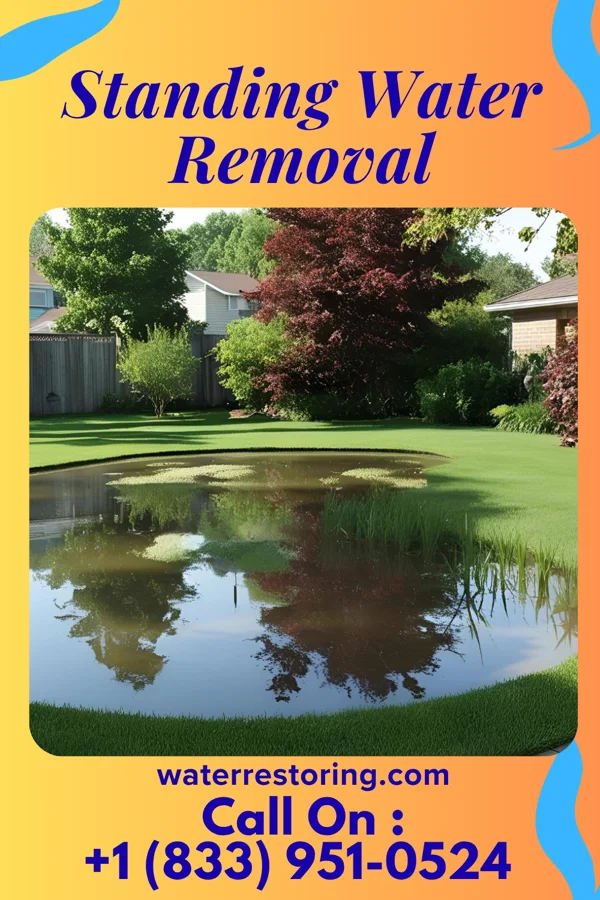 Standing Water Removal in Garrettsville, OH